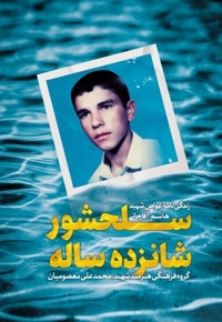 سلحشور 16 ساله